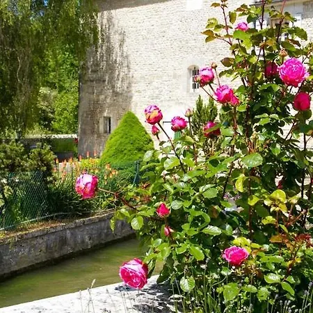 Du Maine Brun